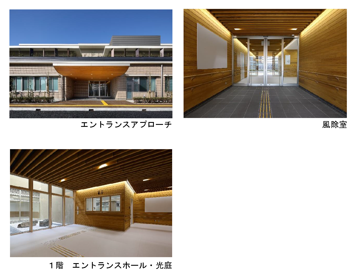 中央こども相談センターの写真