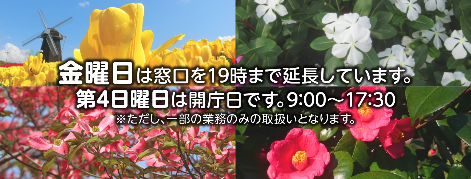 金曜日は窓口を19時まで延長しています。第4日曜日は開庁日です。9:00~17:30　※ただし、一部の業務のみの取扱いとなります。