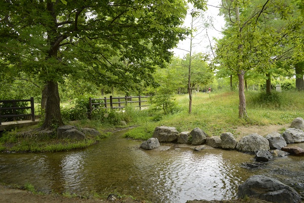 鶴見 緑地 公園