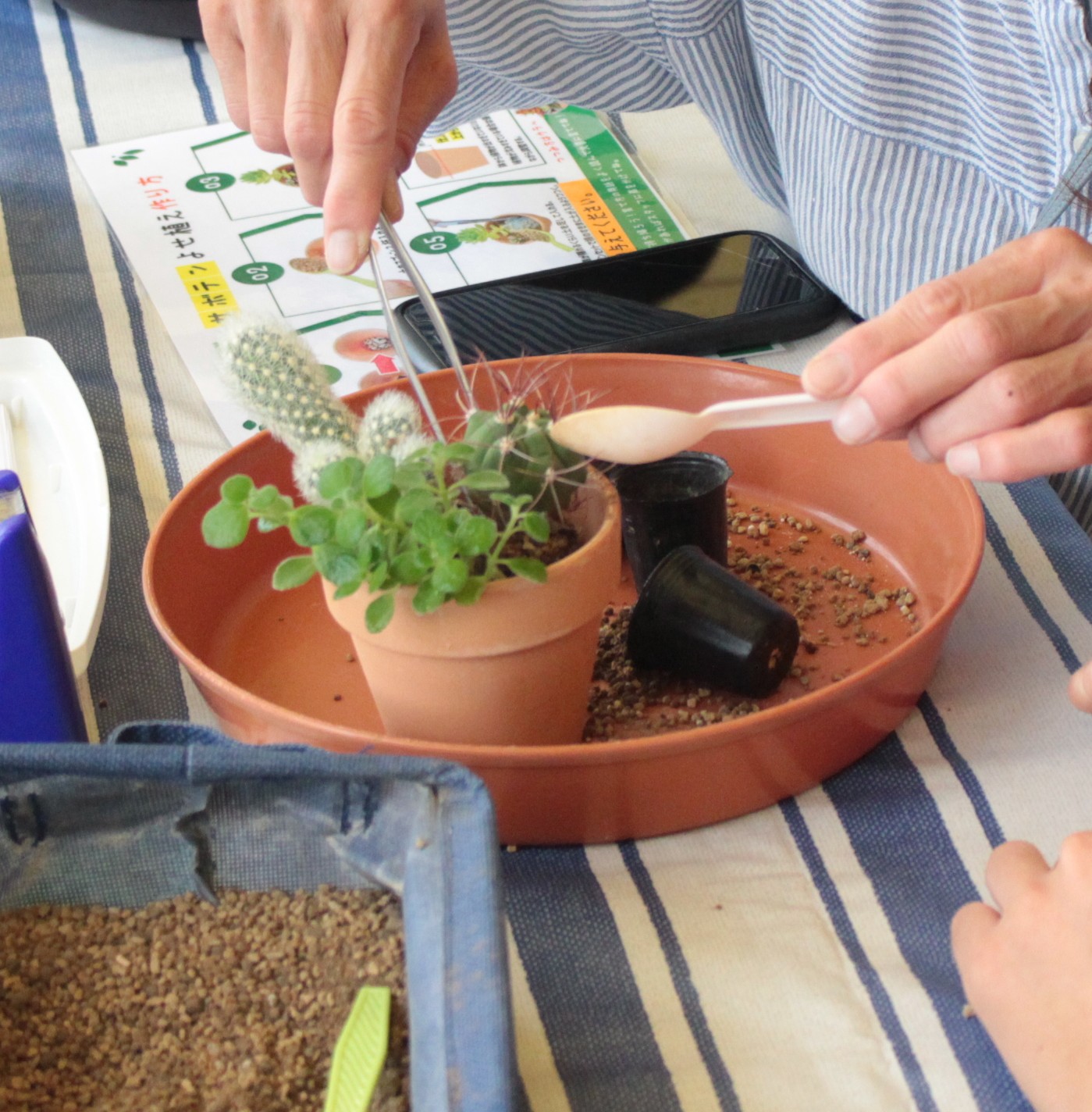 寄せ植え講座風景