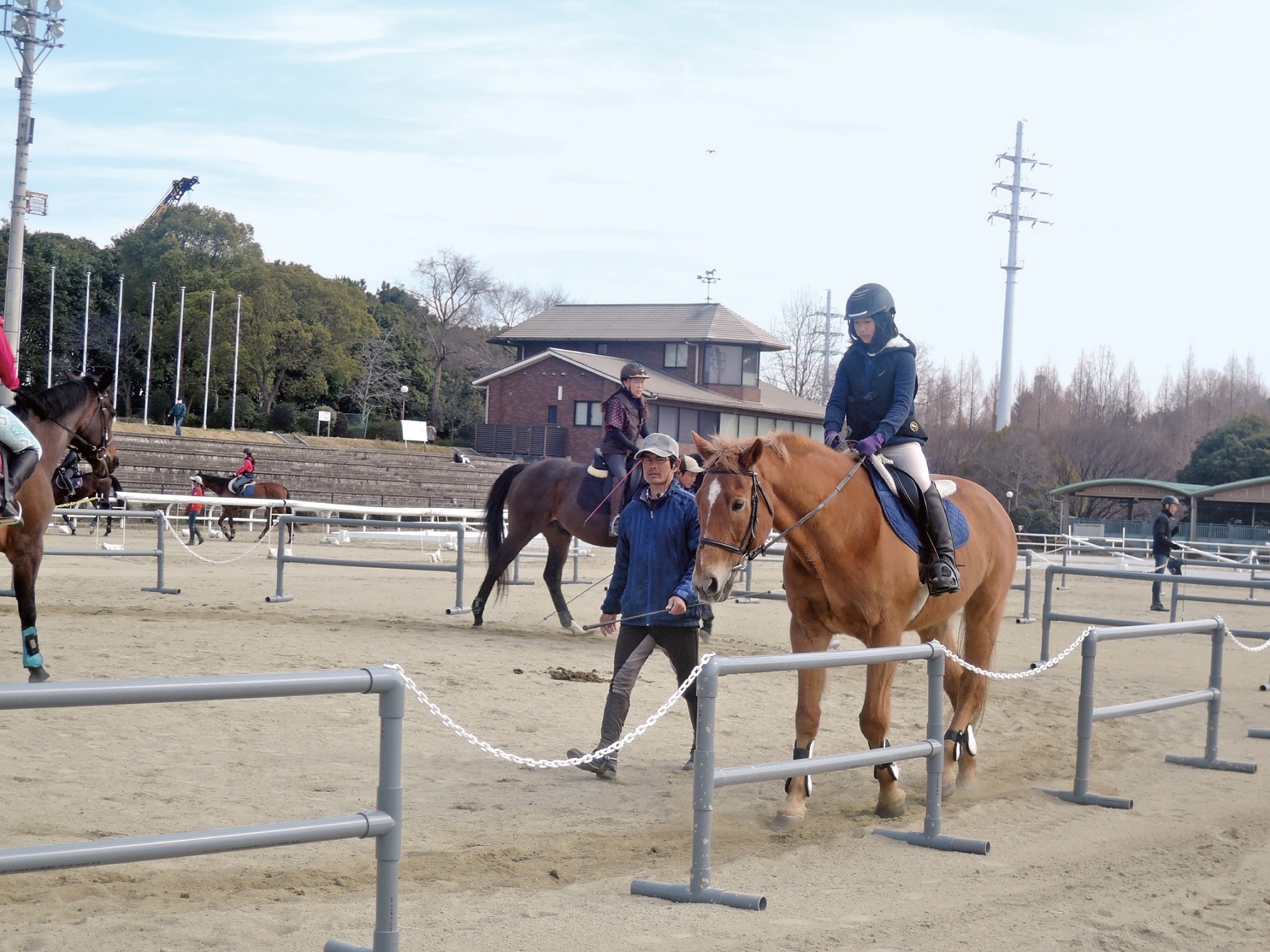 鶴見緑地乗馬苑で馬に乗っている画像