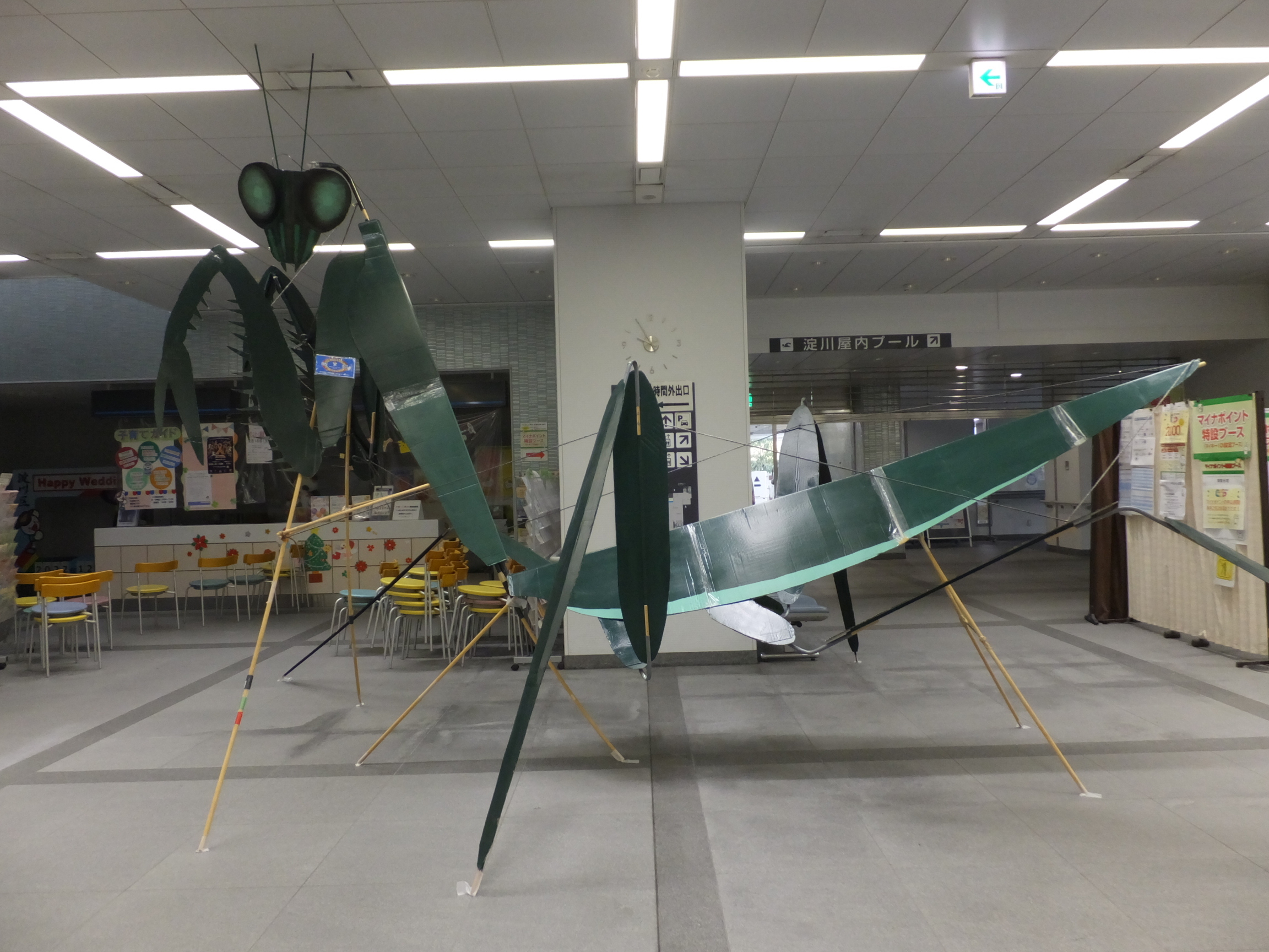 カマキリ